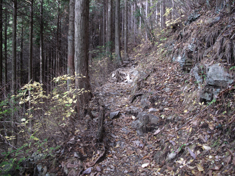 20151116hike (223)